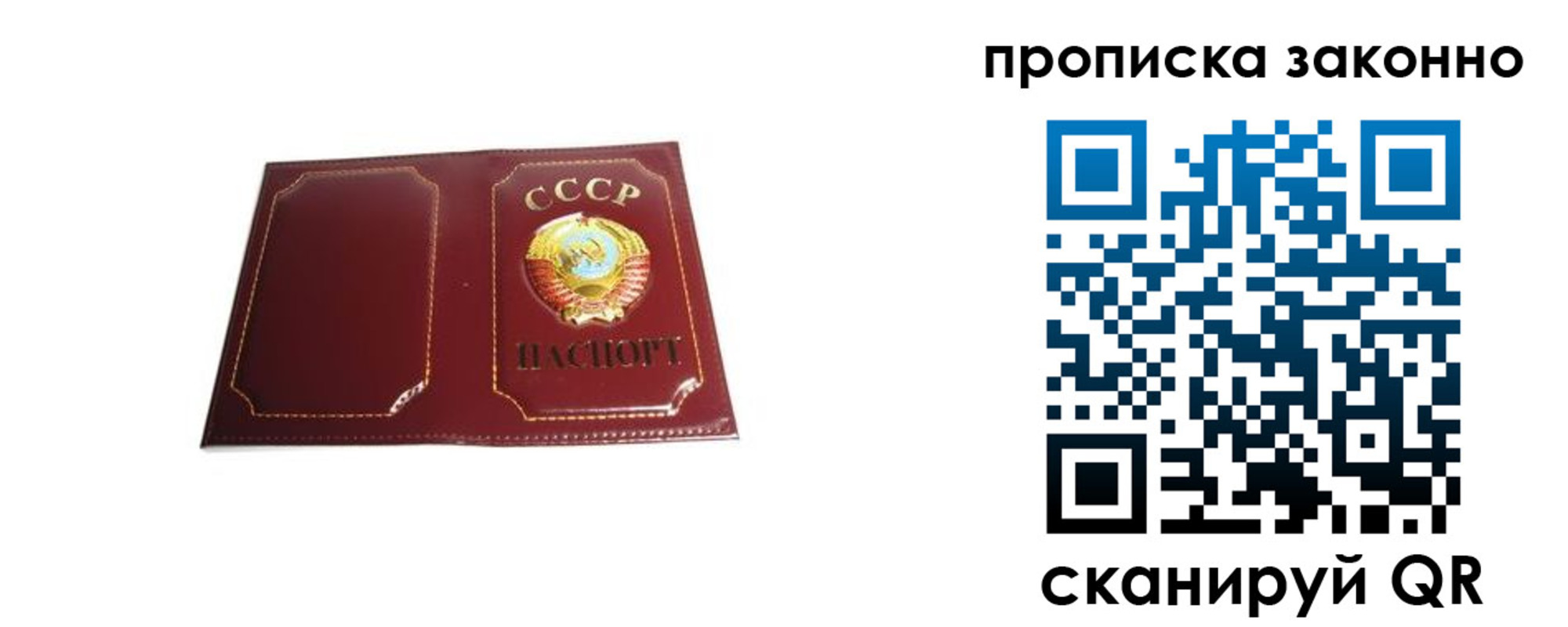 прописка законно в Заинске